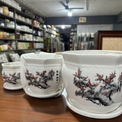 Potique Ceramic Set of 3 Planters - Japanese Cherry Blossom
