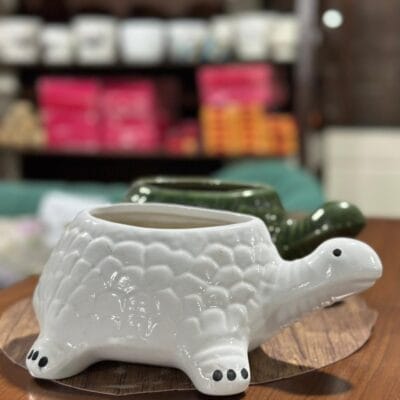 Potique Ceramic Turtle Shape Pot