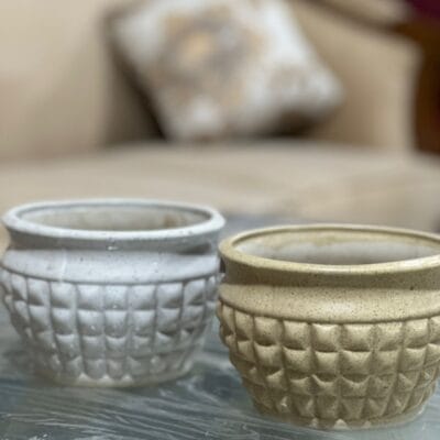 Potique Ceramic Pots Planters